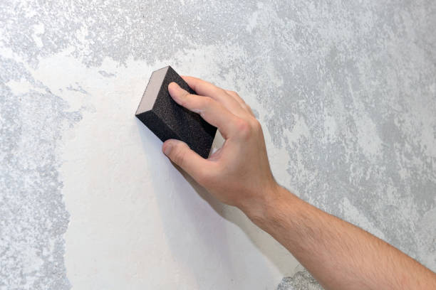  Alton, IL Mold Removal Pros